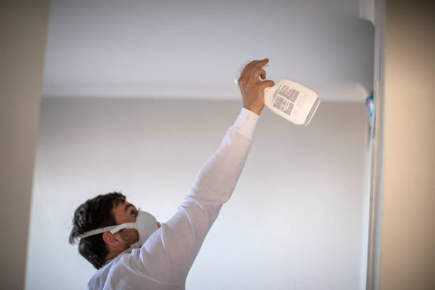Best Mold Damage Repair  in Omaha, TX