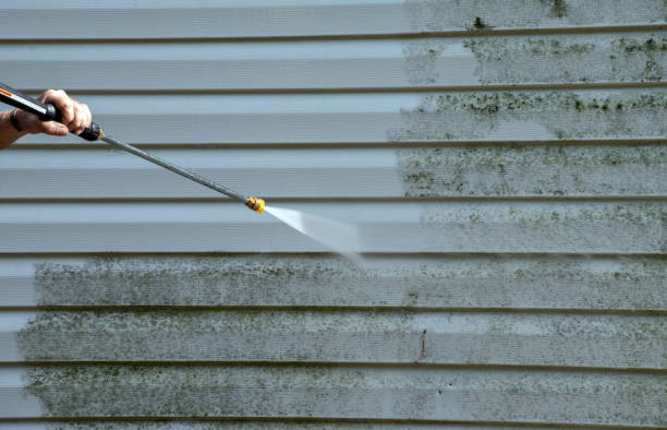Best Fast Mold Removal  in Omaha, TX