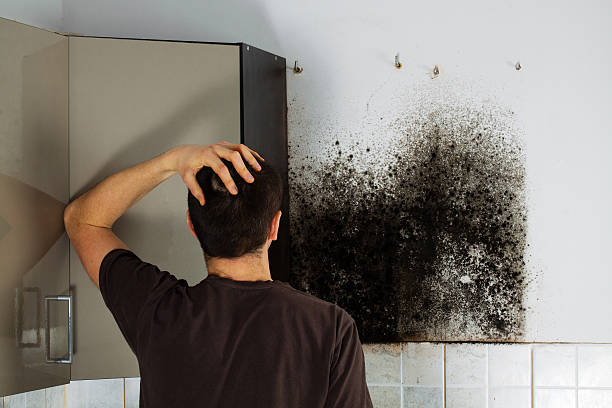 Best Commercial Mold Removal  in Omaha, TX